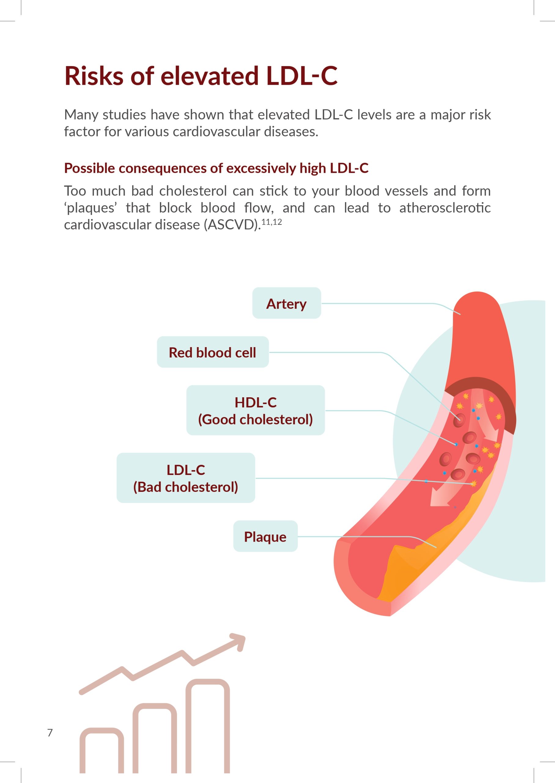 Copy of 6114 - Novartis SG - LDL-C Disease Awareness Booklet_08 FA_compressed_page-0006